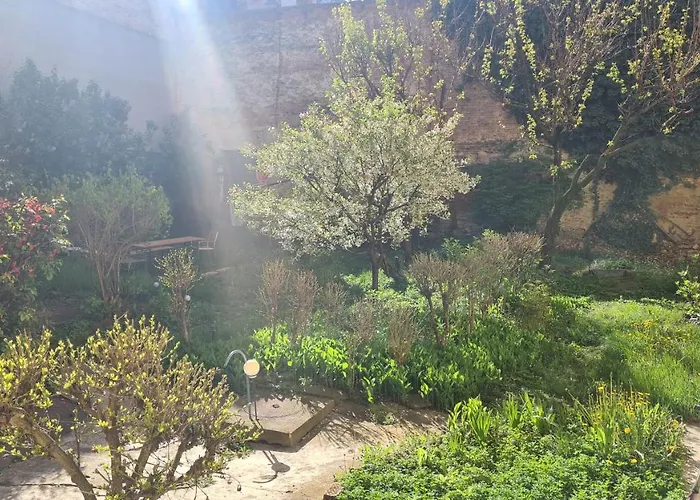 Vila 5* Noble House In Historic Center Kluž