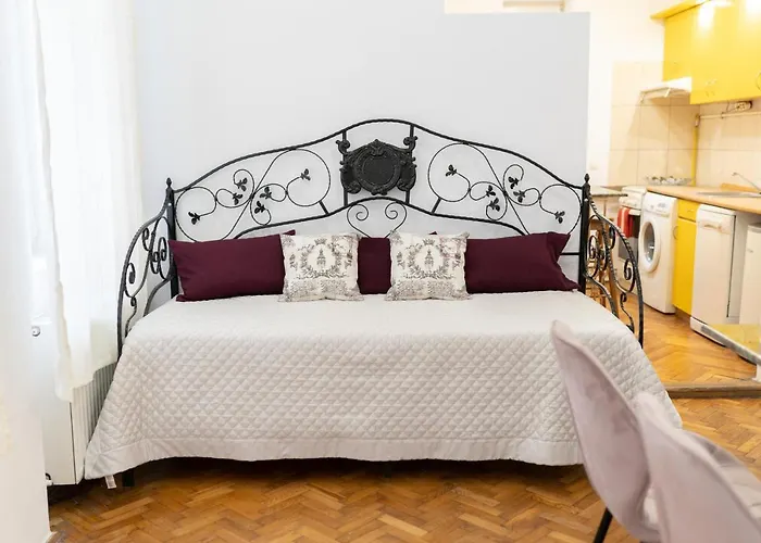 5* Noble House In Historic Center * Kluž